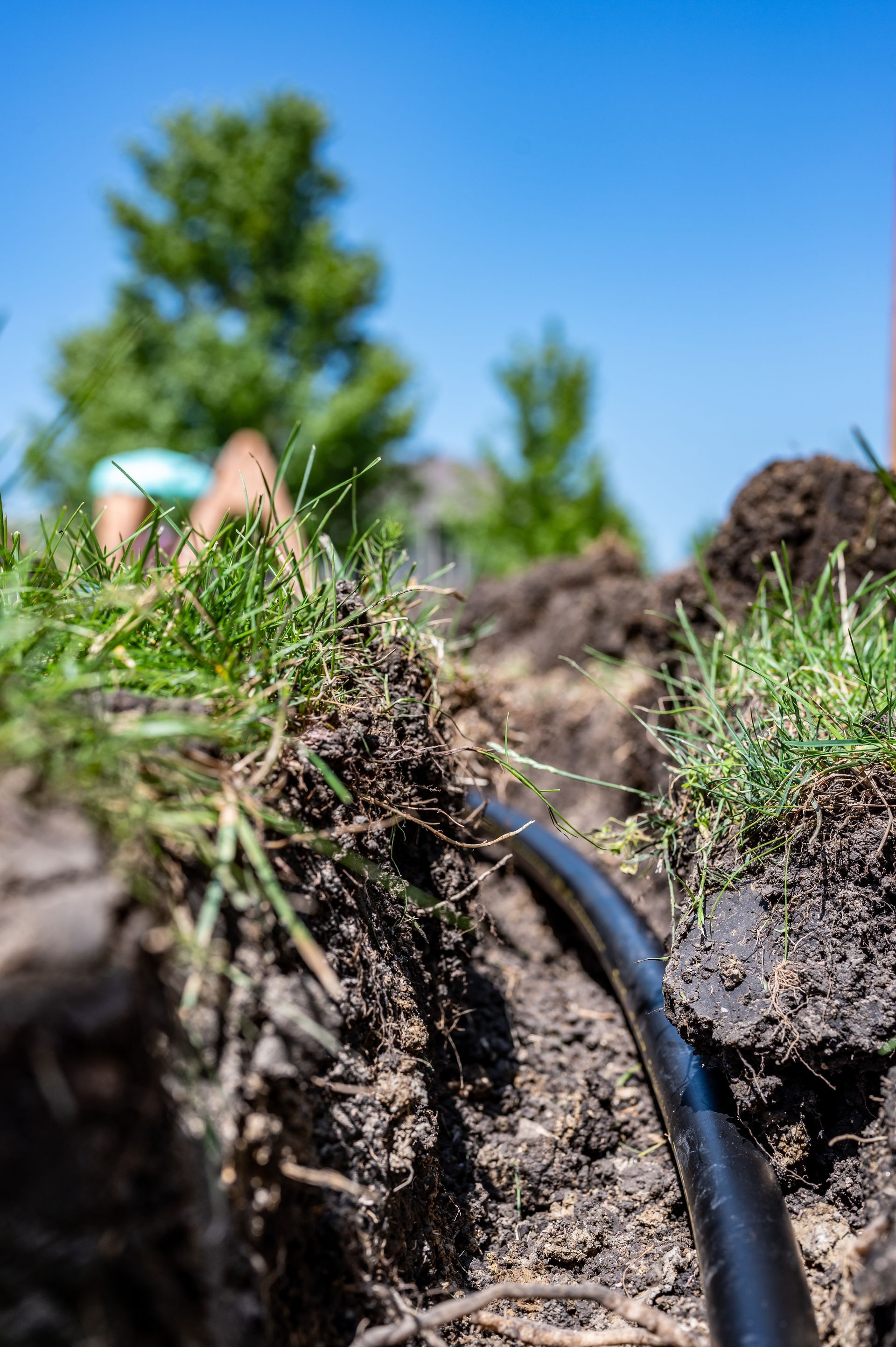 a close up of a hose in the dirt 