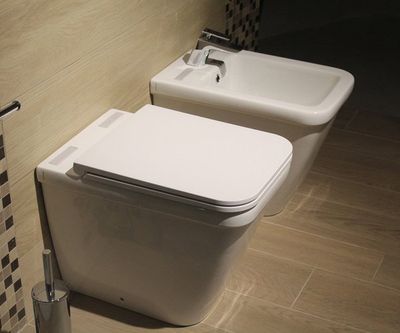 modern toilet and sink beside