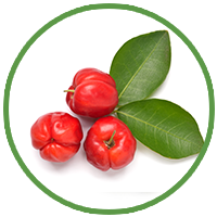 Acerola