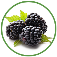 Blackberry