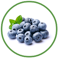 Blueberry