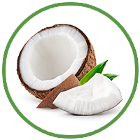 Coconut
