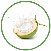 Coconut Water