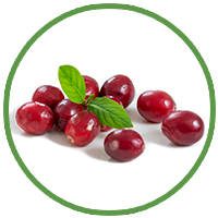 Cranberry