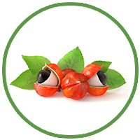 Guarana