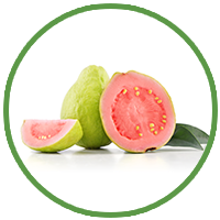 Guarana
