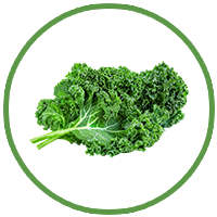 Kale