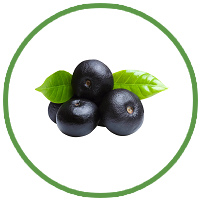 Maqui Berry