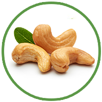 Cashew