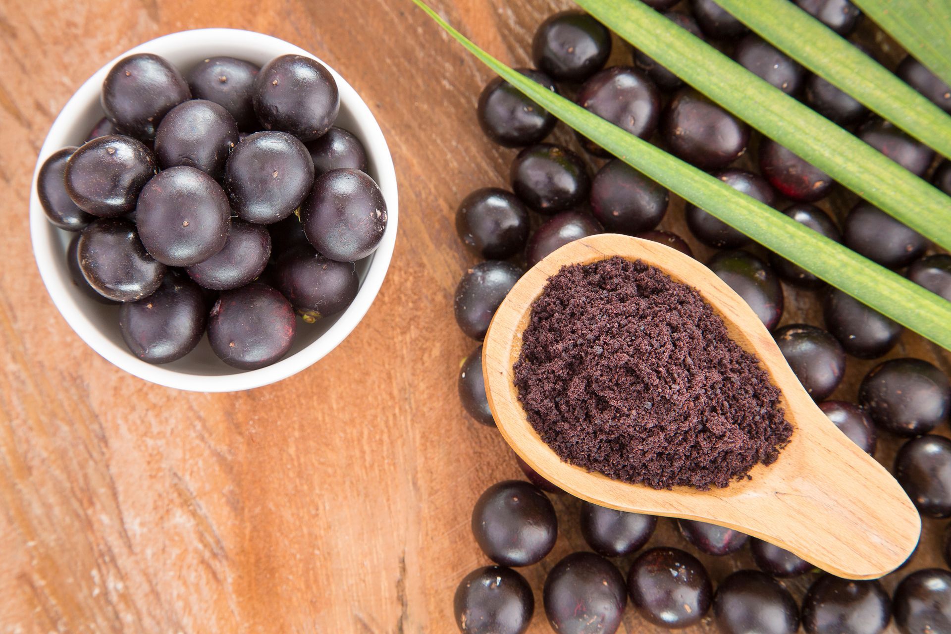 Blueberries and Powder