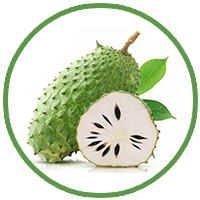 Soursop