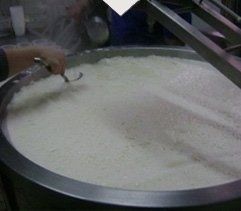 Caldaia per cotture casearie