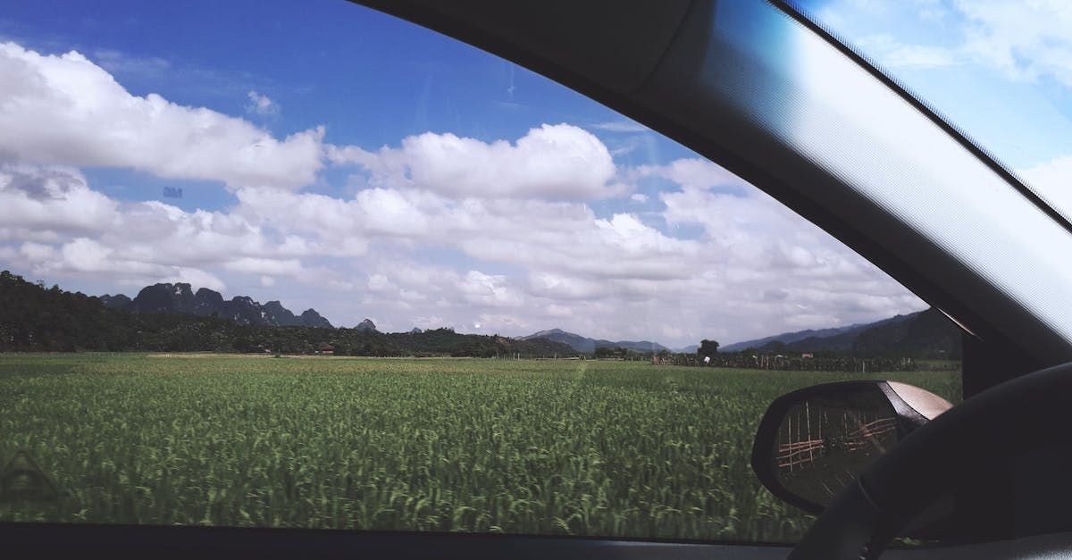 Summer Car | Natomas Smog Shop & Auto Repair