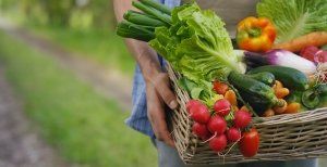 person carrying vegetables in basket