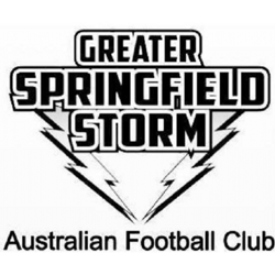 greater springfield storm logo