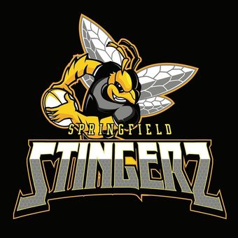 stingers touch football logo