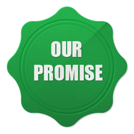 our promise badge