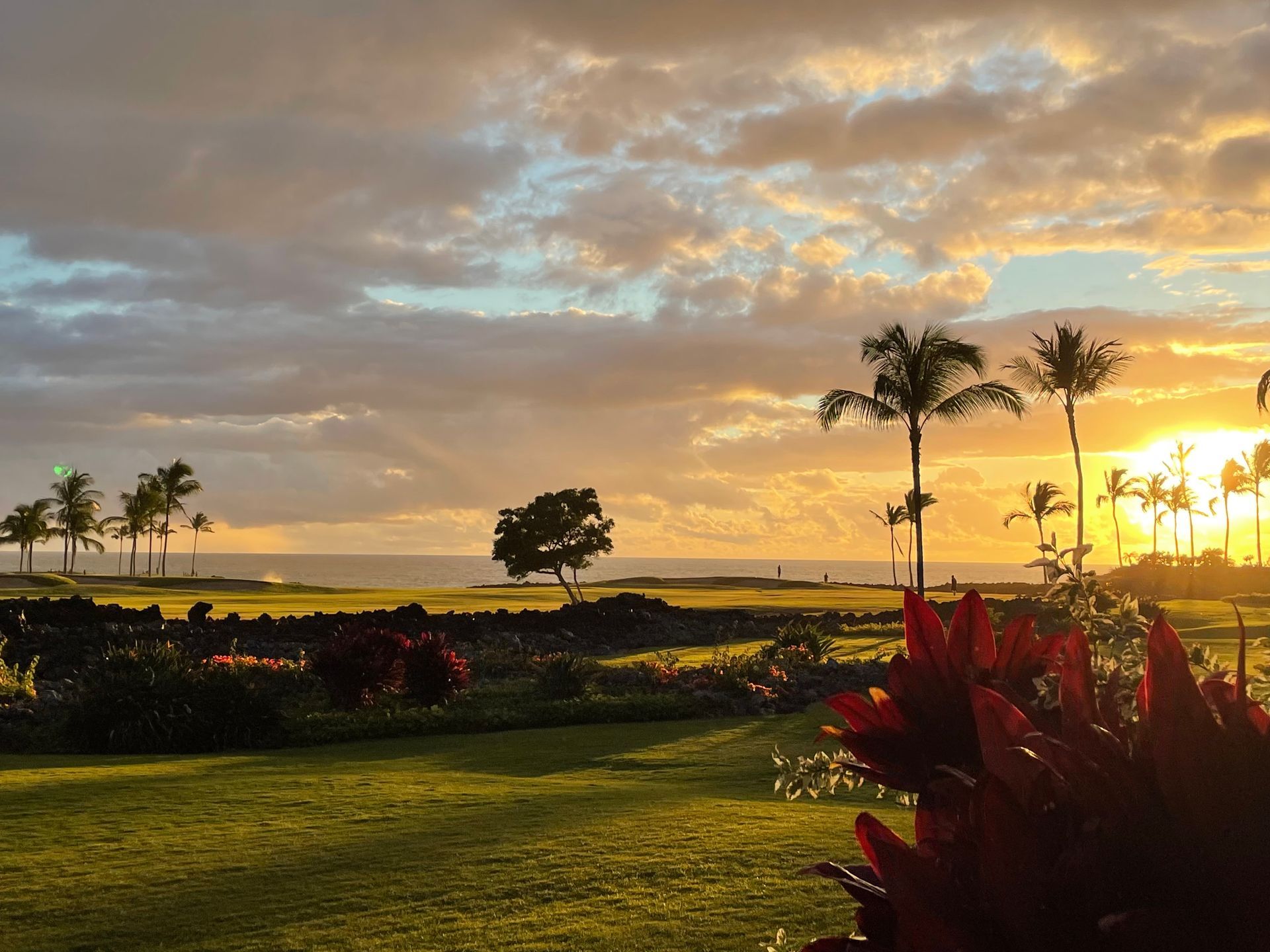 Sunset over a tropical landscape, with palm trees, grass, ocean, and red flowers.