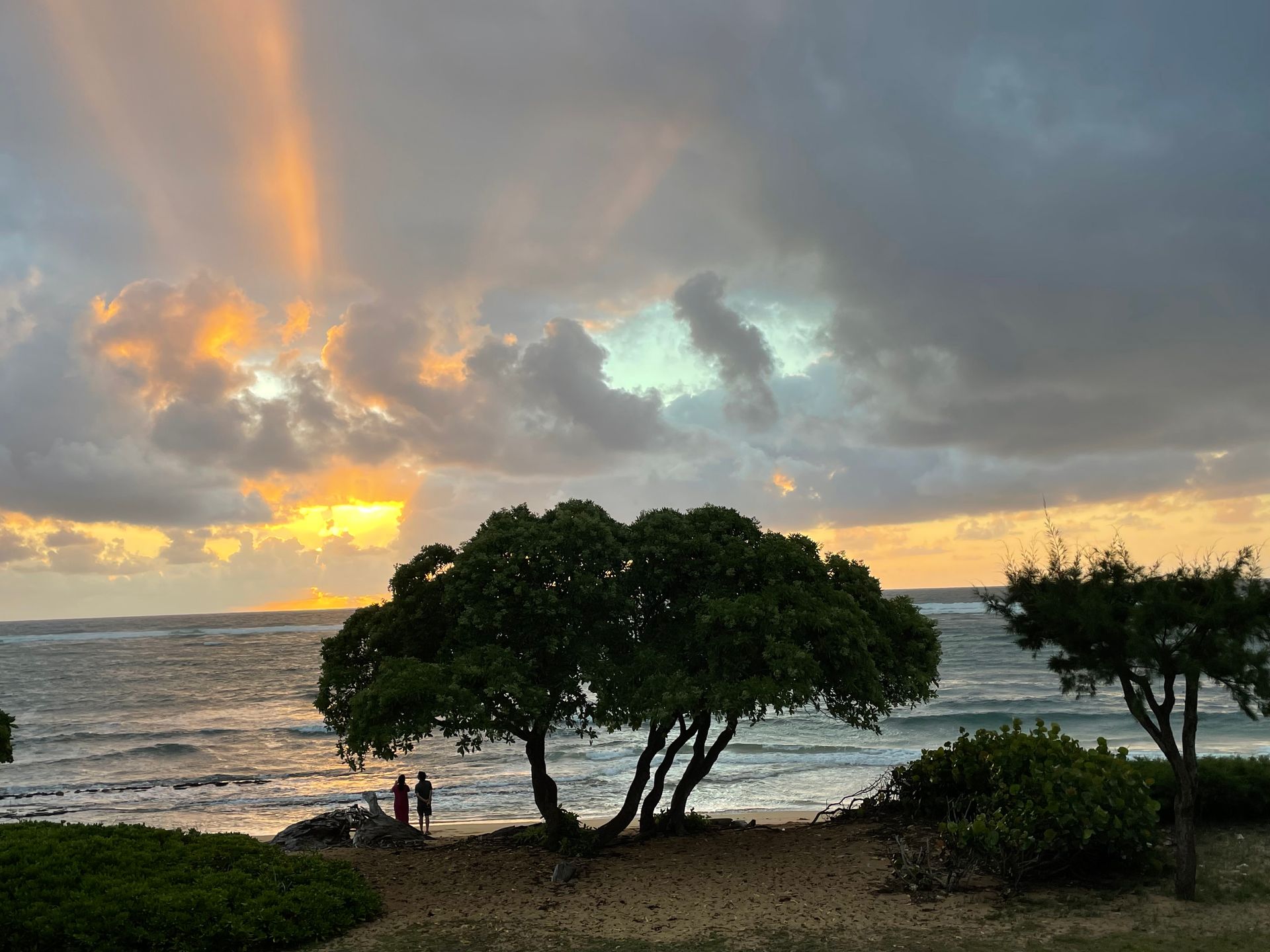 Ocean sunset with rays of light through the clouds; two figures stand on the shore near a tree.