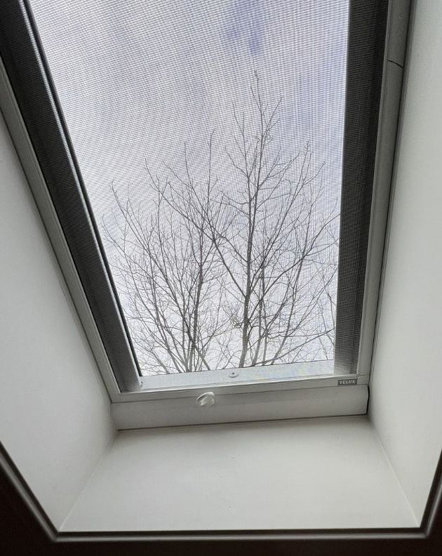 A skylight window looking up at a leafless tree against a cloudy, bright sky.