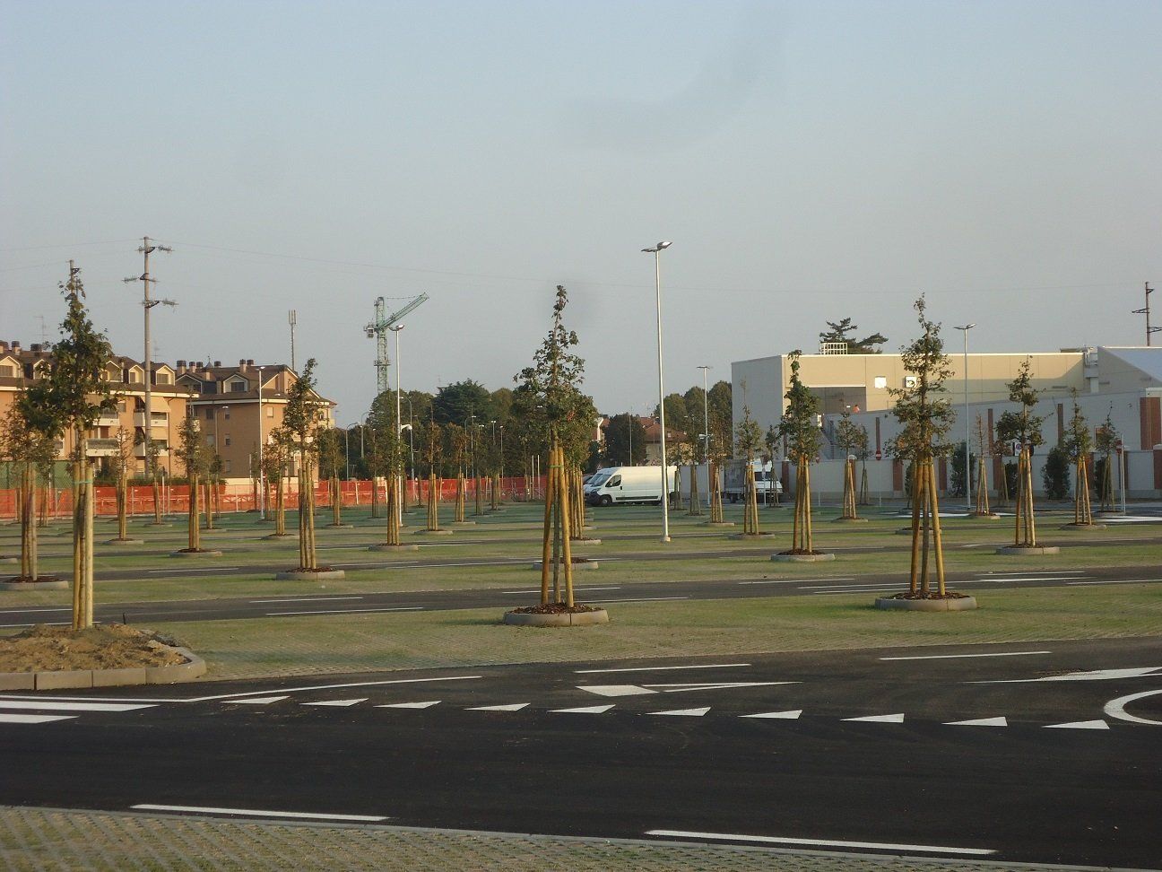 MANUTENZIONE AREE VERDI