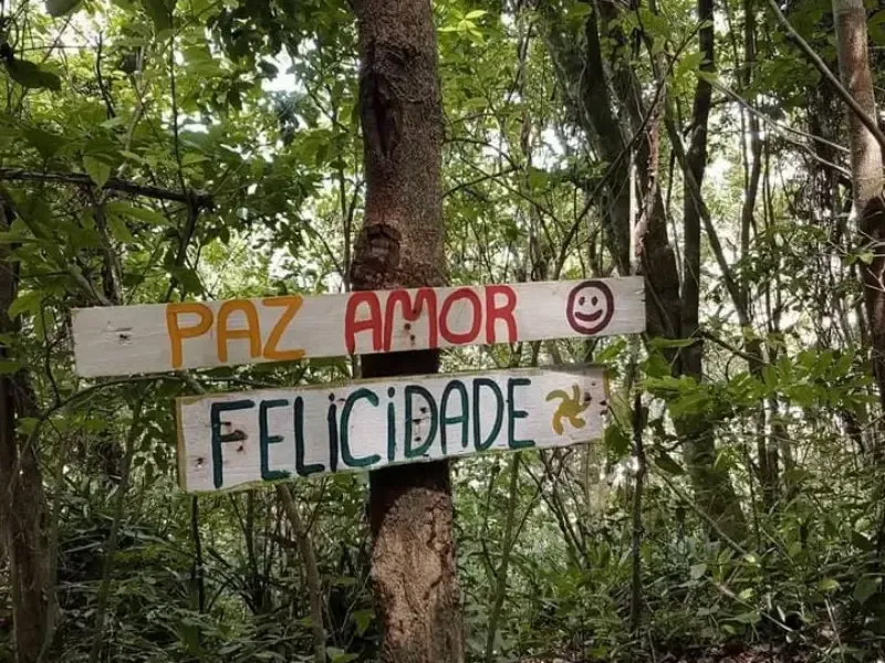 Duas placas de madeira pintadas à mão em uma árvore na floresta, com os dizeres