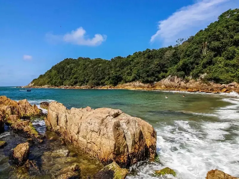 Costa rochosa com água cristalina turquesa sob um céu azul, com árvores verdejantes ao fundo.
