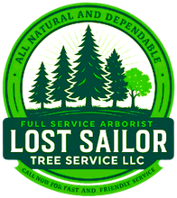 Lost Sailor Tree Service LLC | Tree Service in Richmond, VA