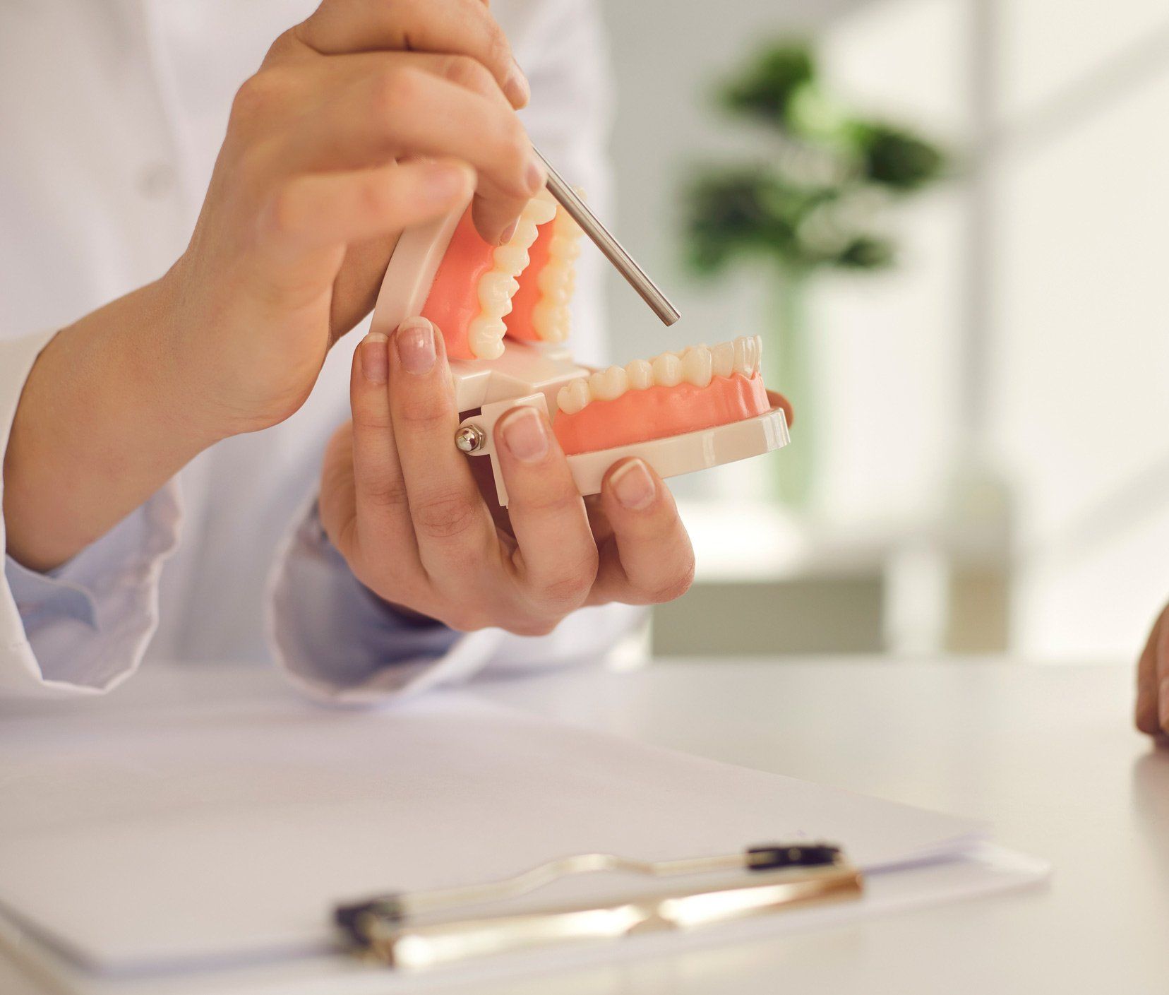 Dentist conducts consultation | Ringwood, VIC | Abstract Arch Denture Clinic