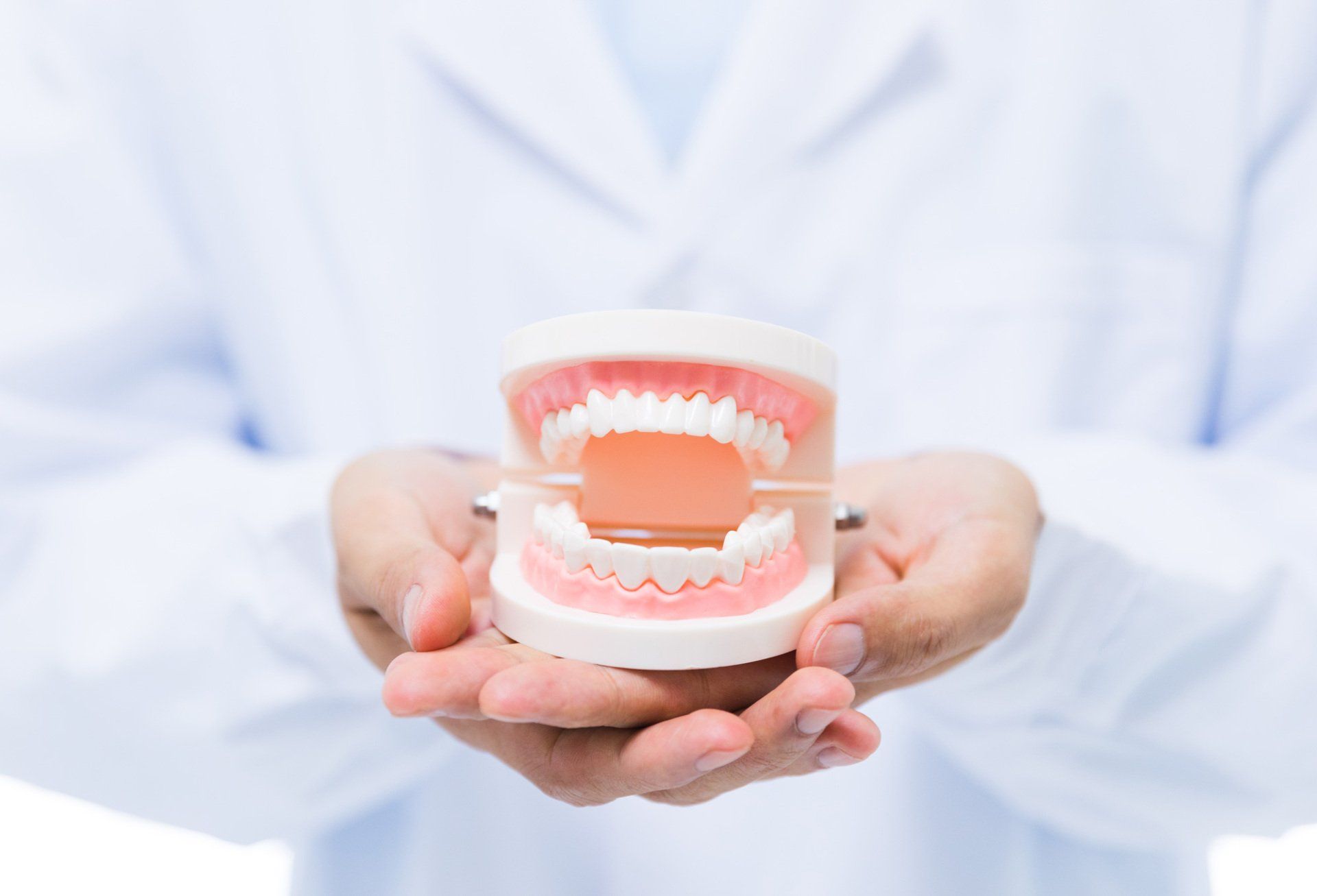 Dentist showing dentures | Ringwood, VIC | Abstract Arch Denture Clinic