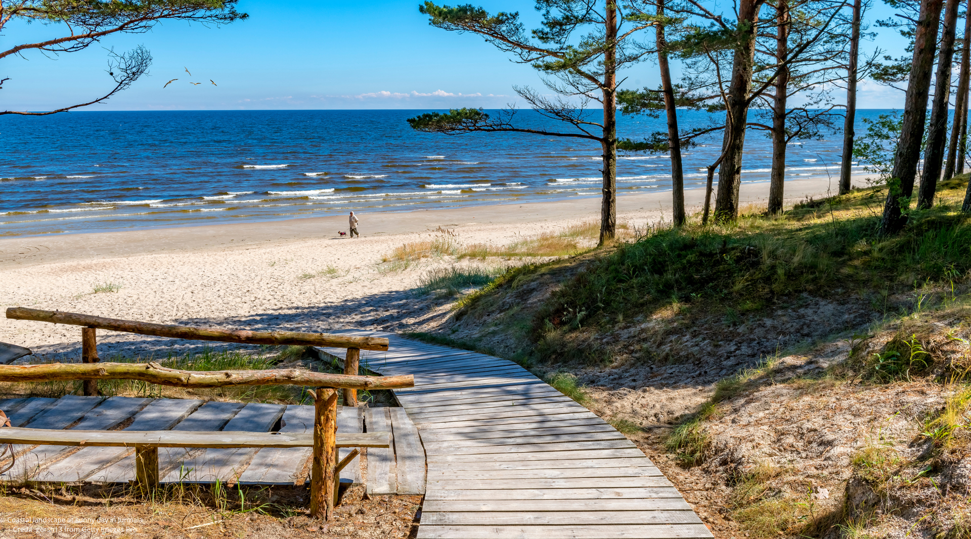 Coastal landscape at sunny day in Jurmala Credit  gorsh13 from Getty Images Pro