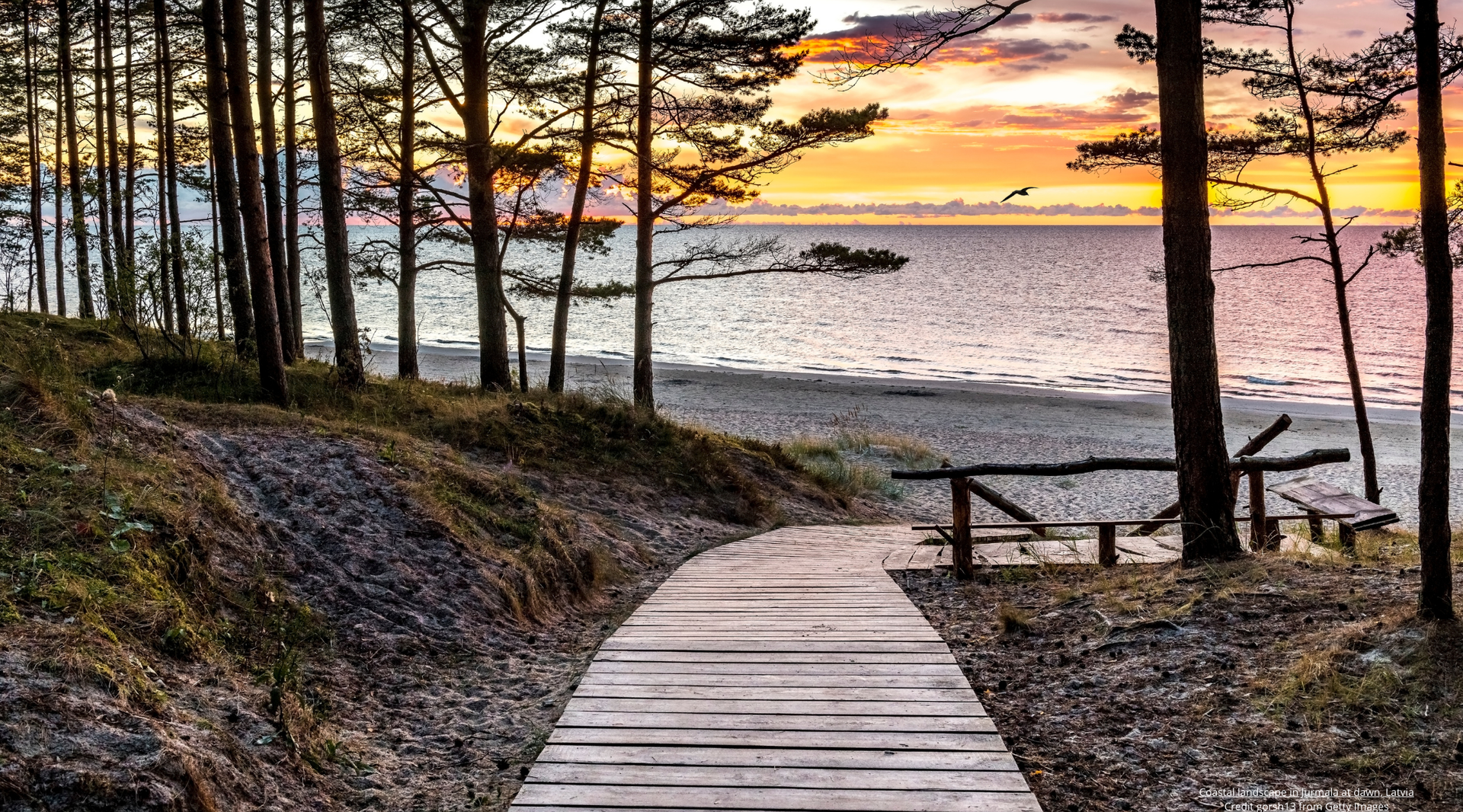 Coastal landscape in Jurmala at dawn, Latvia Credit gorsh13 from Getty Images