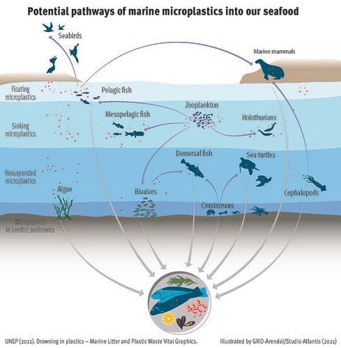 World Environment Day 2023: Solutions to Plastic Pollution