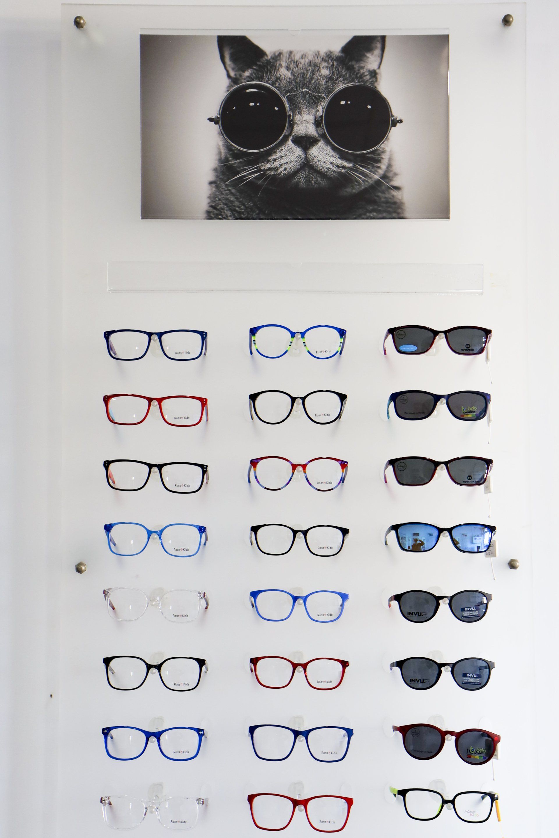Espositore di occhiali con un gatto che indossa occhiali da sole sopra. Varie montature su una parete bianca.