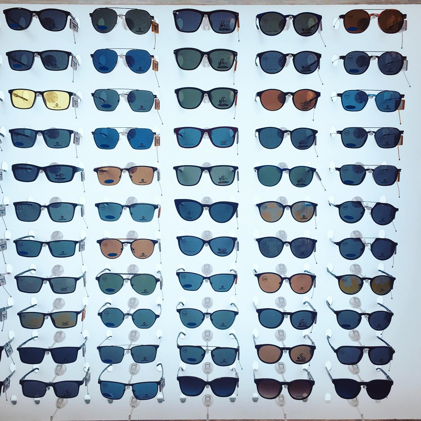 Esposizione di occhiali da sole su una parete bianca, vari stili e colori.