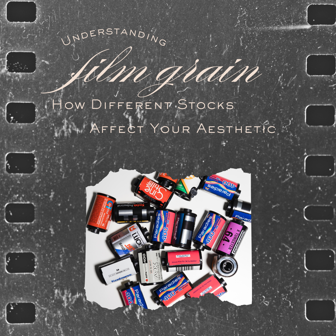 Understanding Film Grain: How Different Stocks Affect Your Aesthetic| Annex Photo