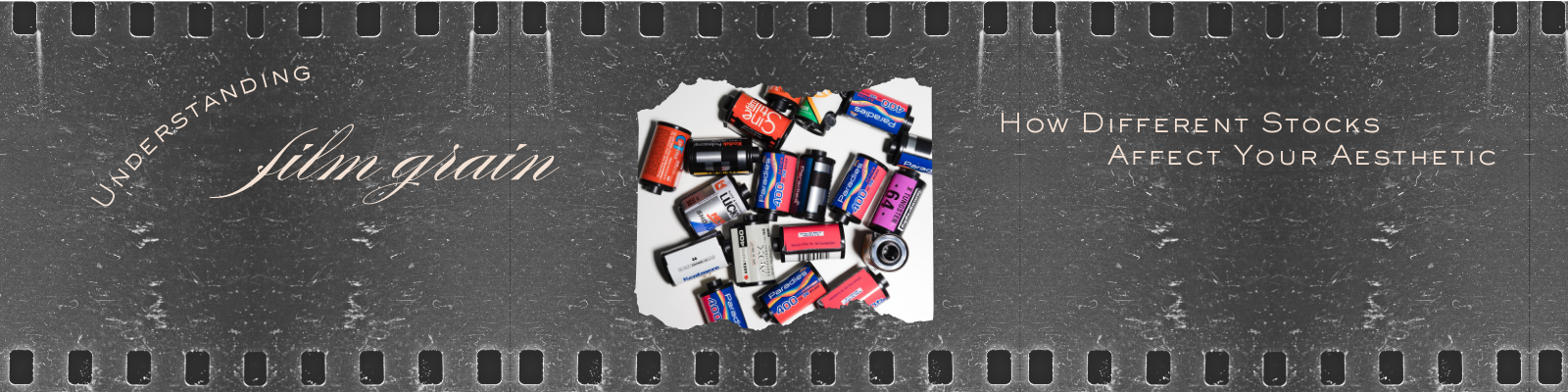 Understanding Film Grain: How Different Stocks Affect Your Aesthetic | Annex Photo by Fujifilm Toronto Canada Blog Banner Understanding Film Grain: How Different Stocks Affect Your Aesthetic | Annex Photo by Fujifilm Toronto Canada Blog Banner