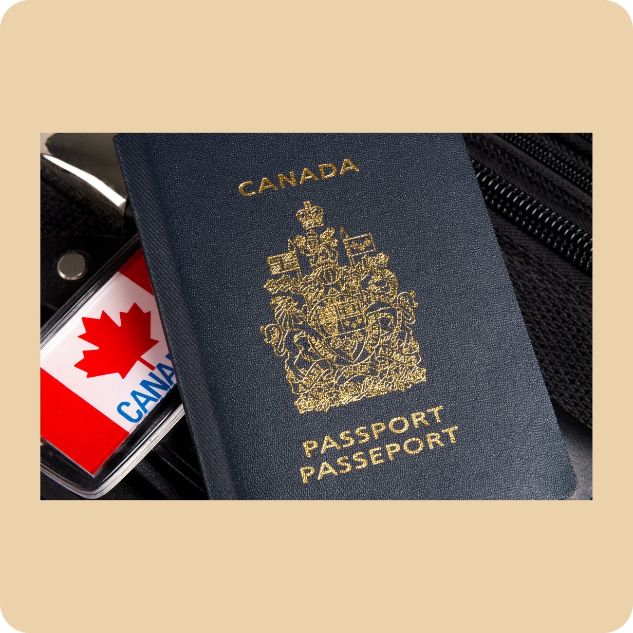 Passport Photo Button