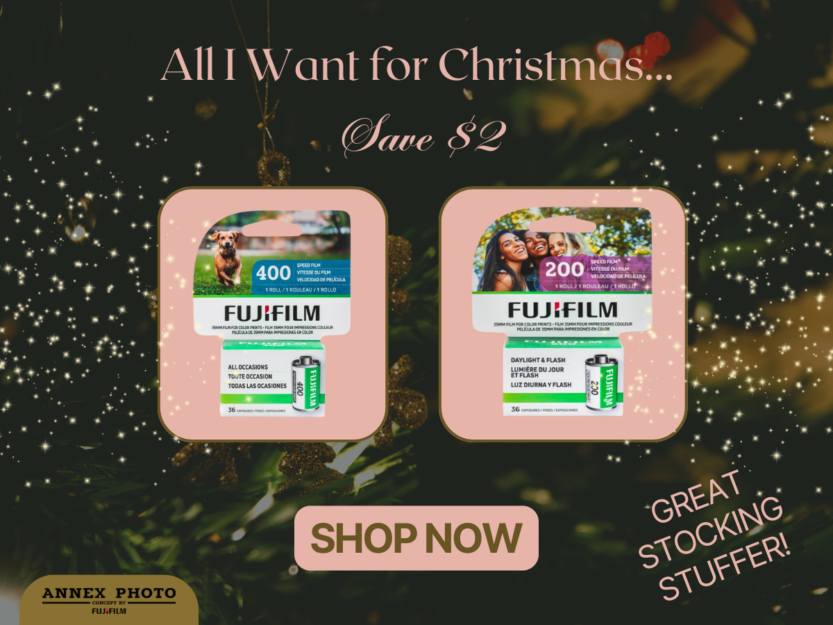 all i want for christmas 2024 holiday gift ideas annex photo toronto