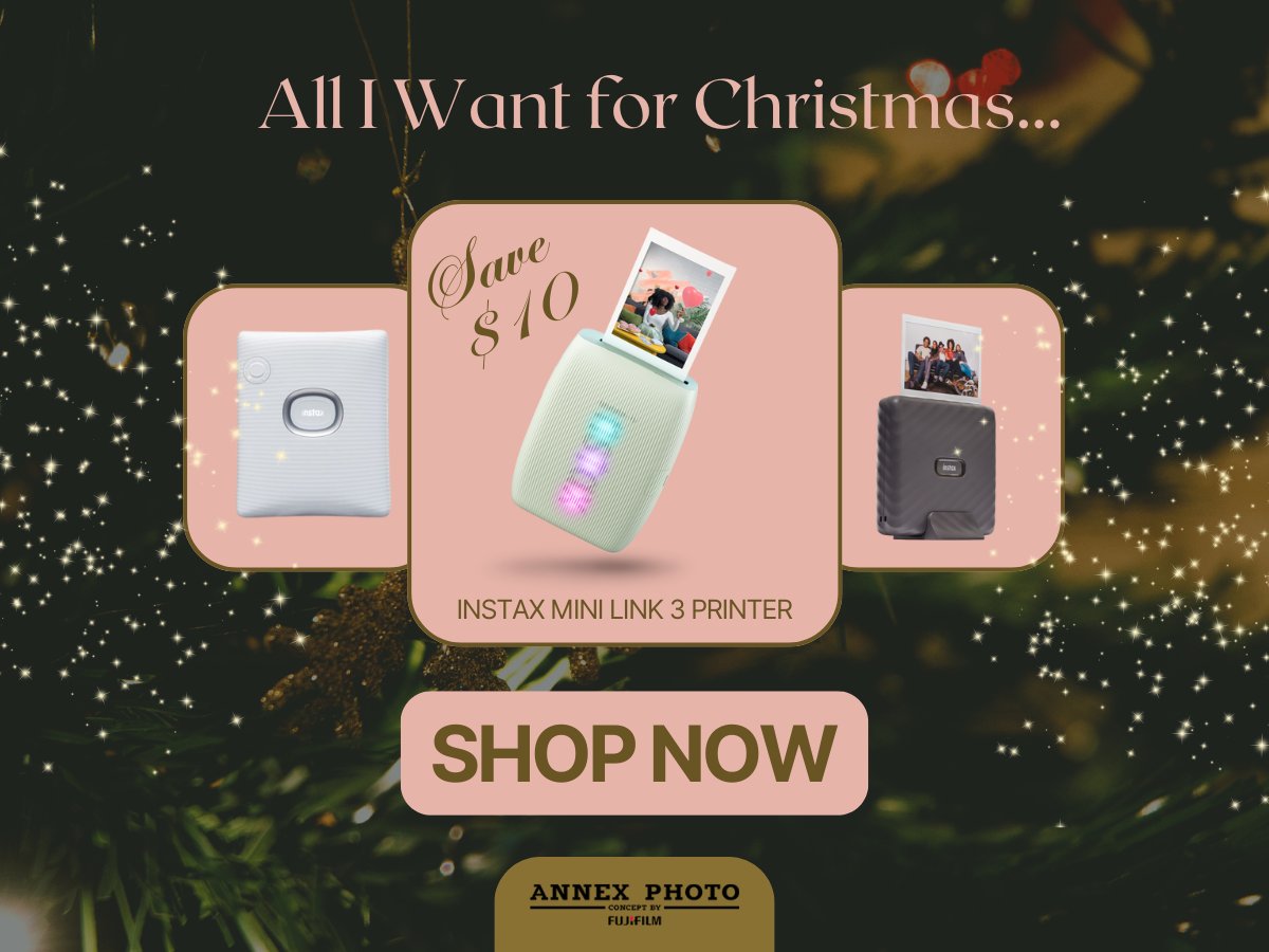 all i want for christmas 2024 holiday gift ideas annex photo toronto