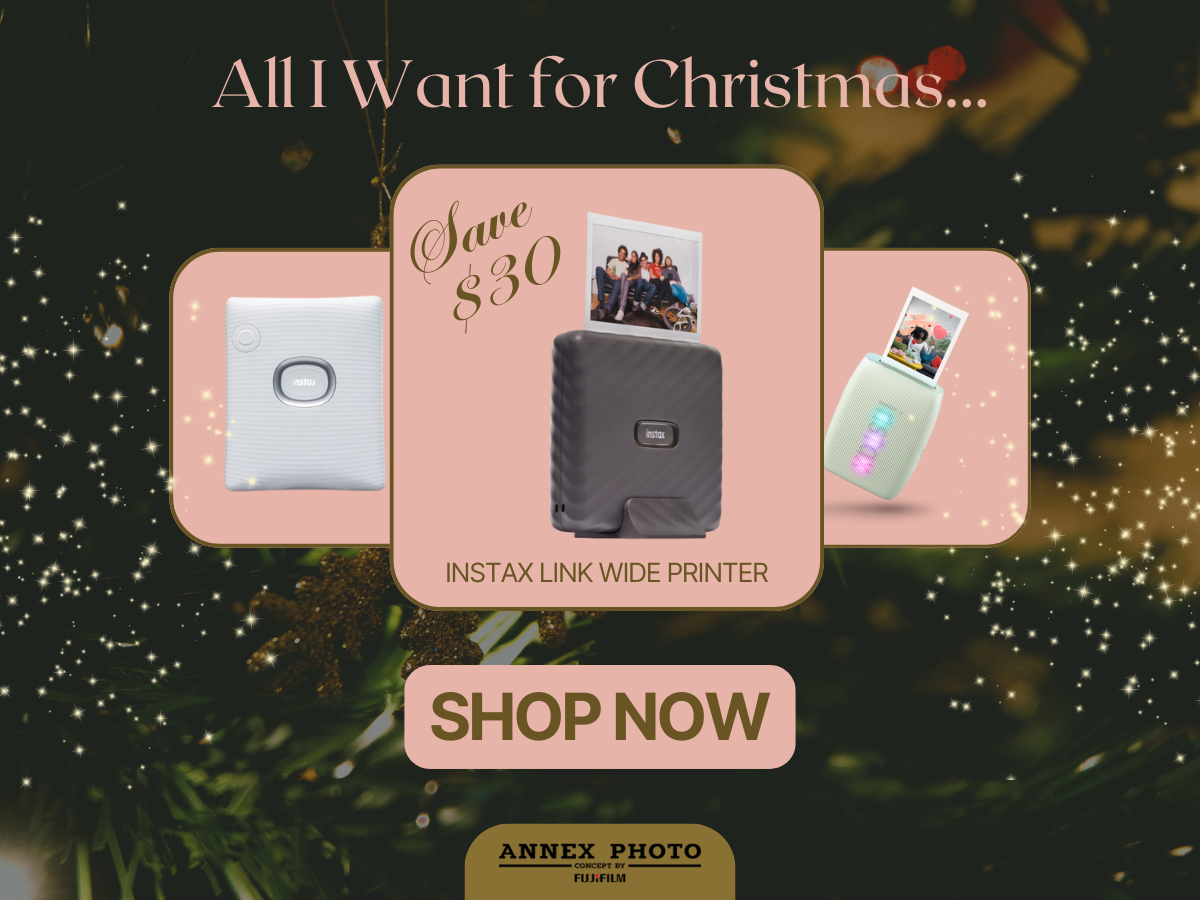 all i want for christmas 2024 holiday gift ideas annex photo toronto