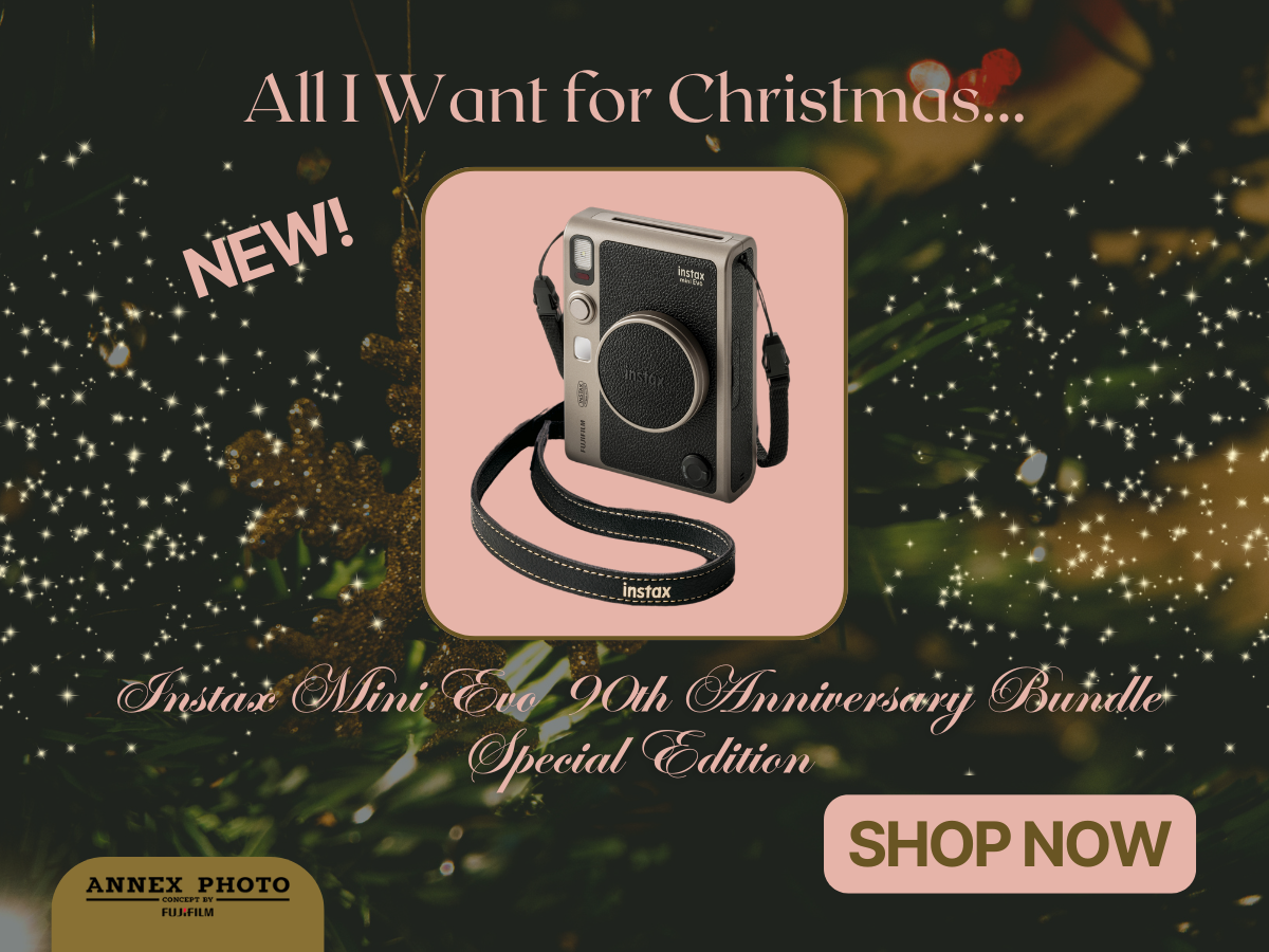 all i want for christmas holiday gift ideas annex photo toronto 2024 banner