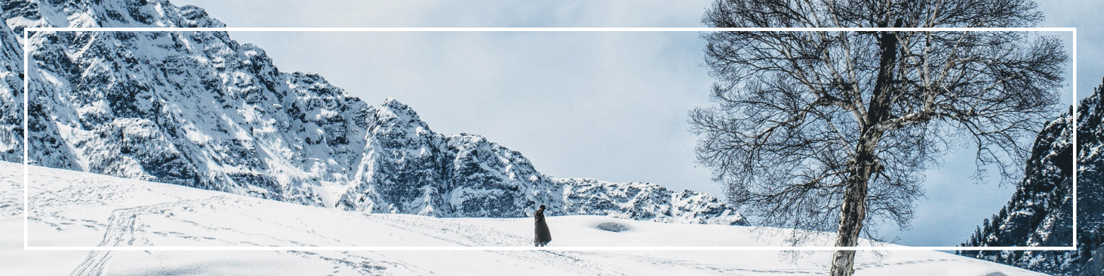 10 Tips for Winter Photography: Capturing Beauty in the Cold | Annex Photo Toronto
