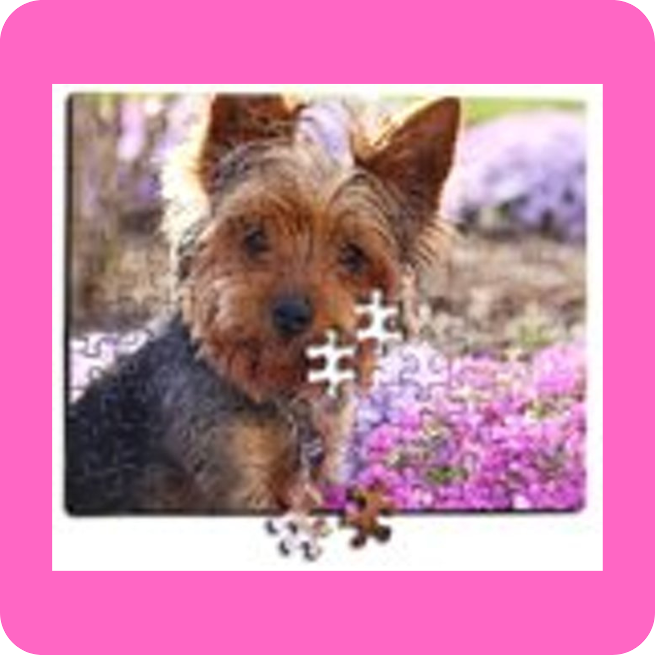 Pet Photo Puzzle 315 Piece Button