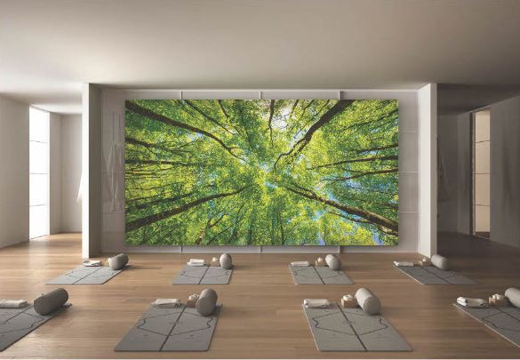 duratrans translite alternative lightbox backlit display fabric print yoga studio