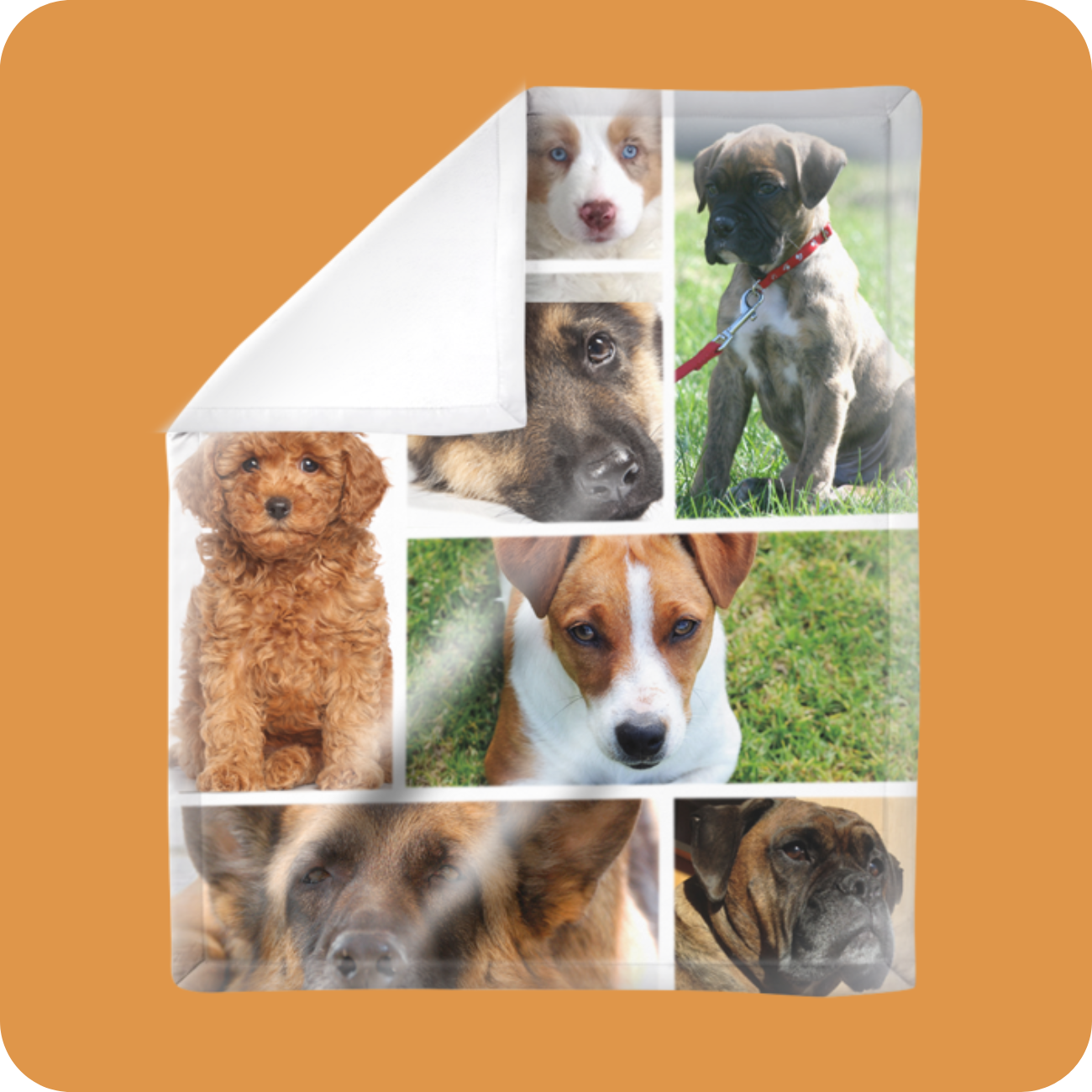 Pet Photo Collage Blanket 60X80