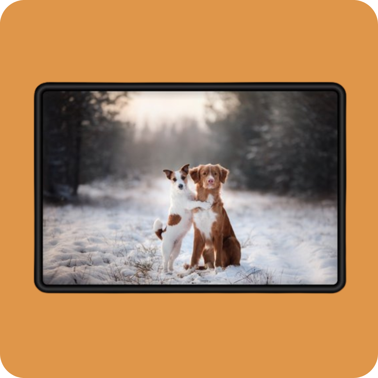 Pet Photo Magnet 4X6