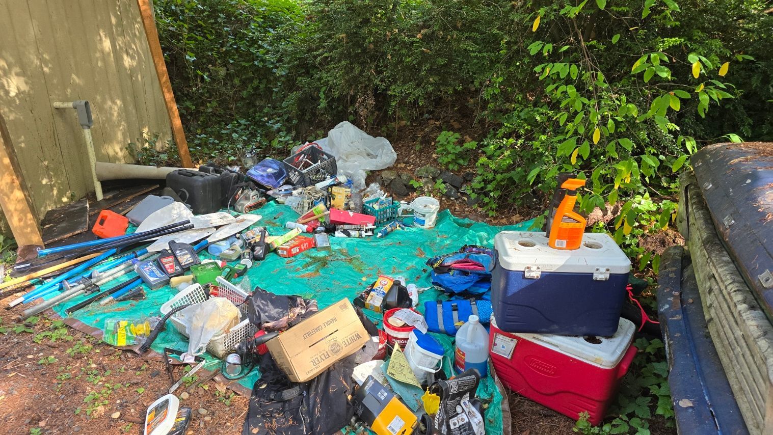 home cleaning, junk removal, waste, pickup