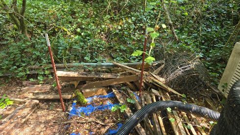 debris, yard debris, junk removal