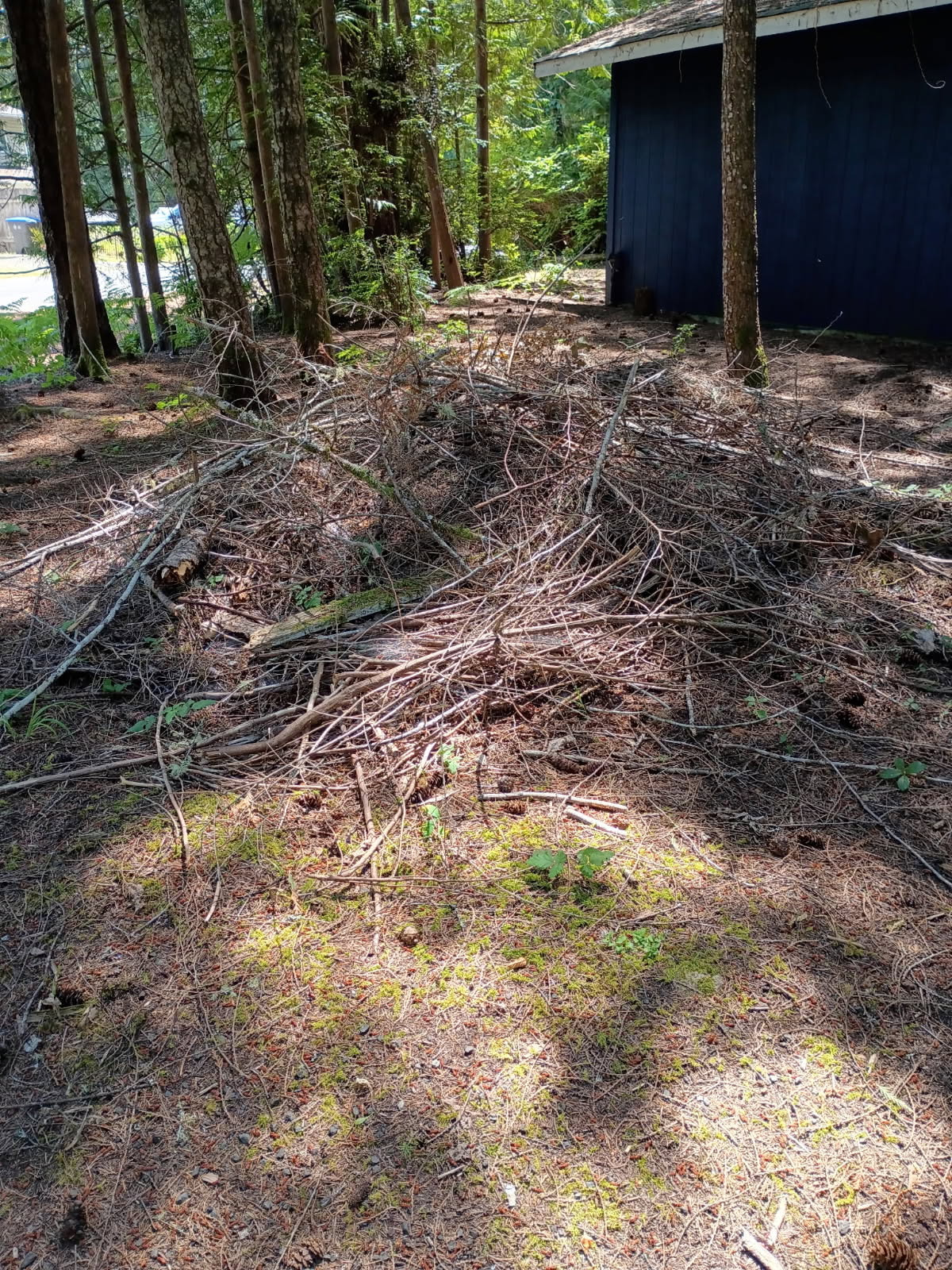 yard waste removal